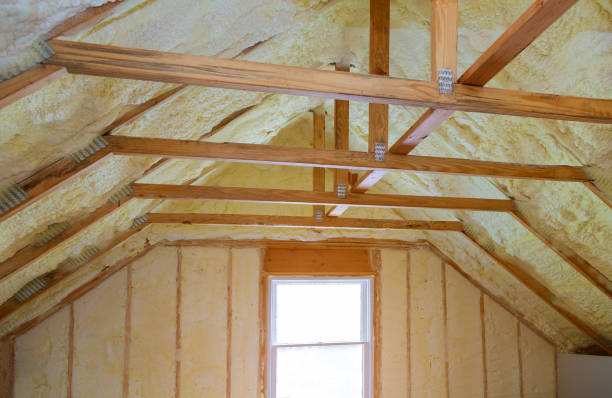Best Insulation Maintenance and Repair in Amherst, WI